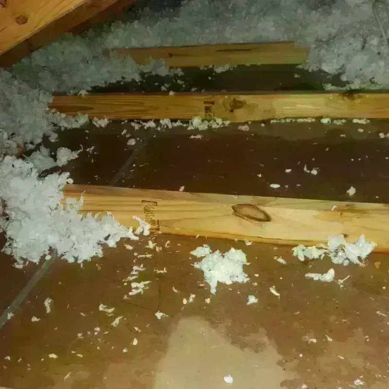 Attic Water Damage in Decatur, AL