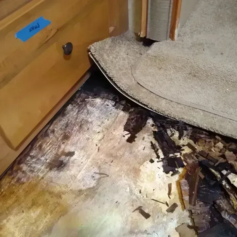 Wood Floor Water Damage in Decatur, AL